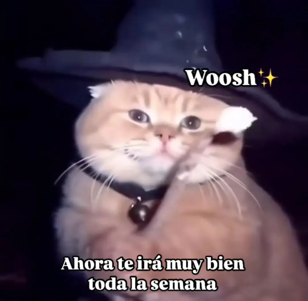 Gatio mago deseando buen inicio de semana