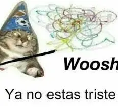 Gato ya no estés triste.