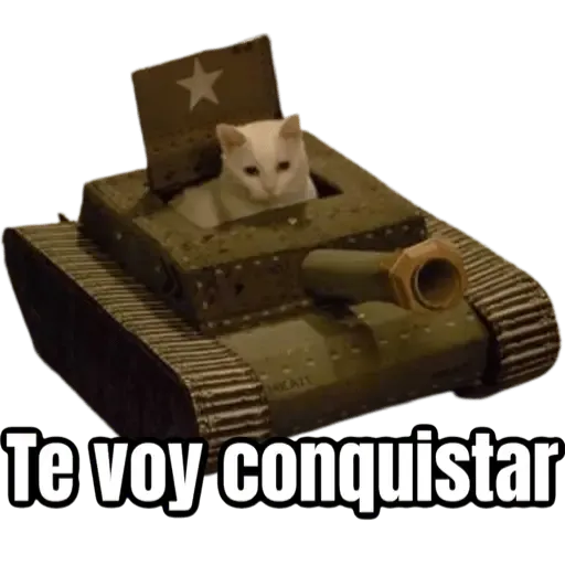 Gato romántico en tanque.
