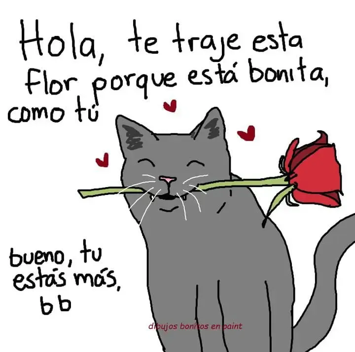 Gato dando una flor.