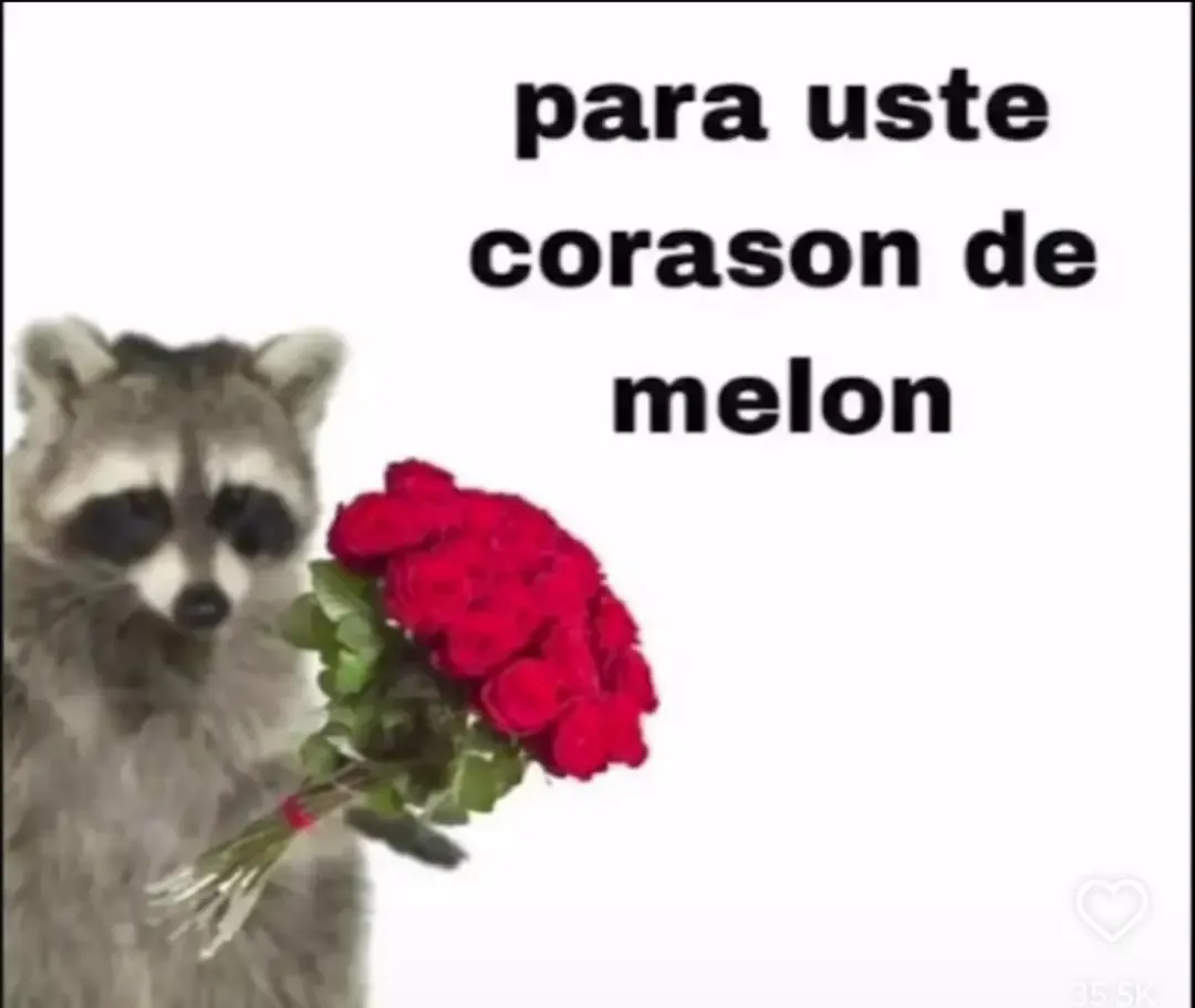 Mapache dando un ramo de rosas
